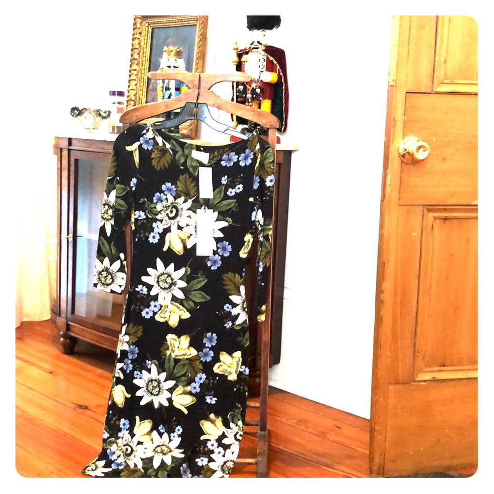 Erdem dress
